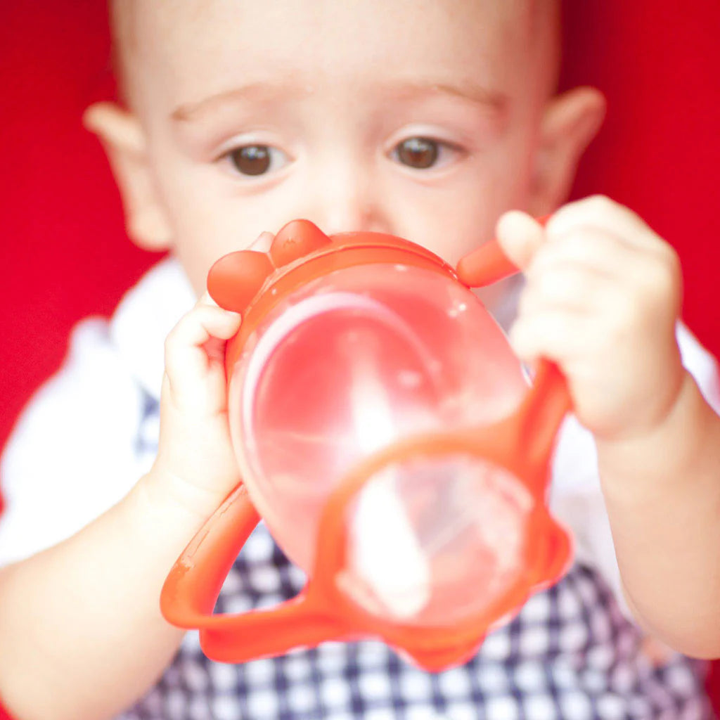 Lollacup Straw Sippy Cup